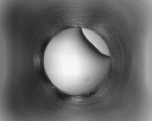 X0000088870214200706080727