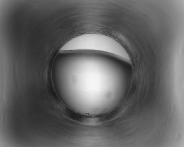 X0000088870217200706080727