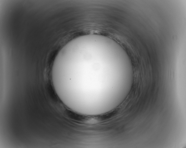 X0000088870218200706080727
