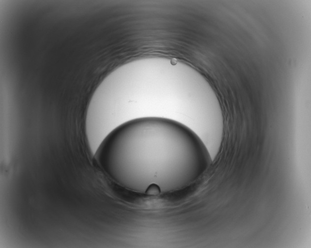 X0000088870219200706080727