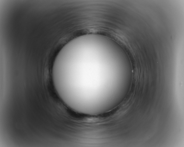X0000088870220200706080727