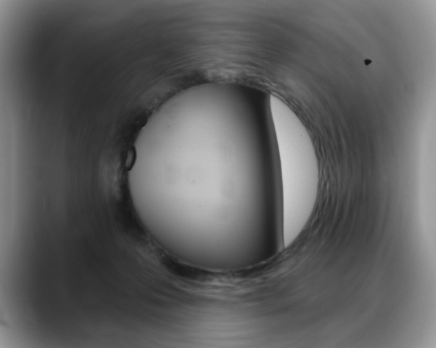 X0000088870223200706080727