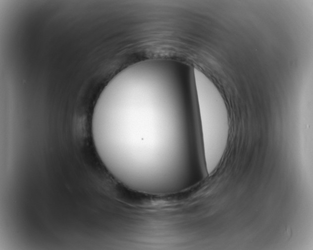 X0000088870224200706080727