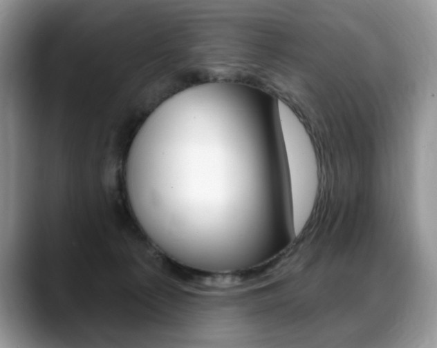 X0000088870225200706080727