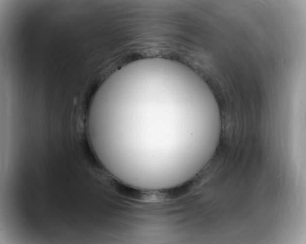 X0000088870226200706080727