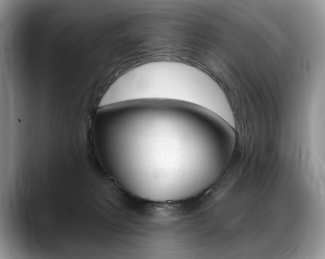 X0000088870229200706080727