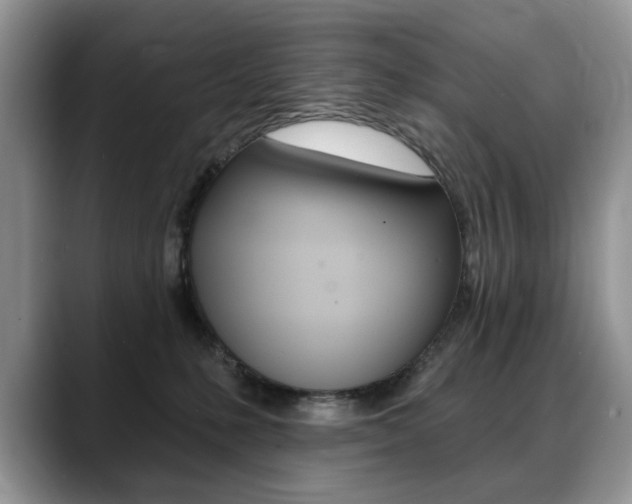 X0000088870231200706080727