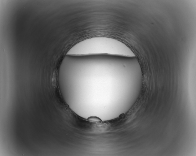 X0000088870234200706080727