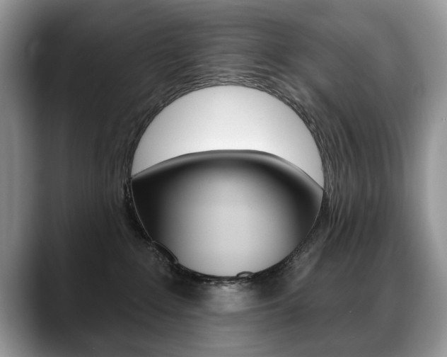X0000088870235200706080727
