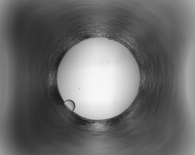 X0000088870236200706080727