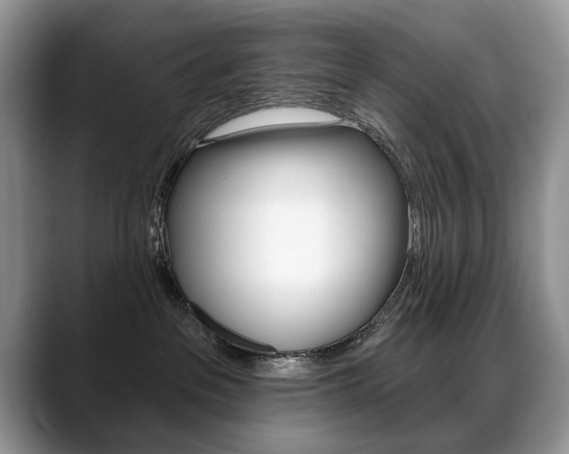 X0000088870237200706080727
