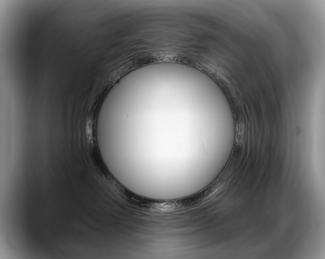 X0000088870238200706080727
