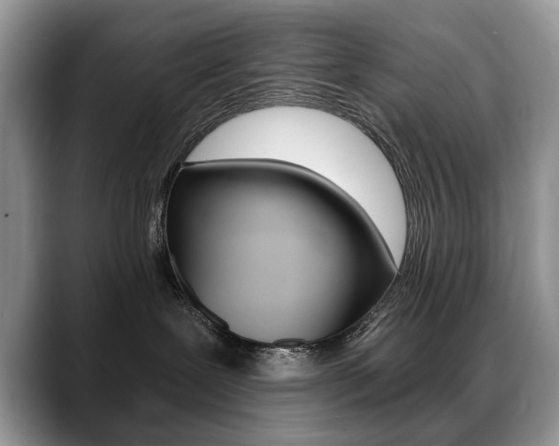 X0000088870239200706080727