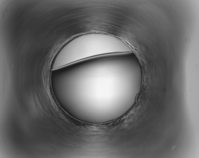 X0000088870241200706080726