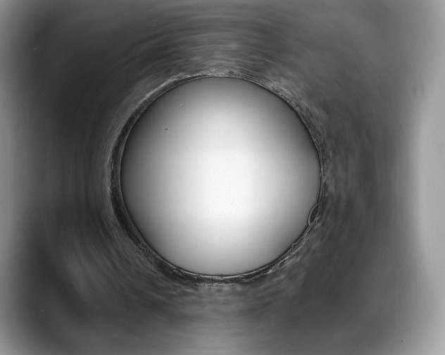 X0000088870242200706080726