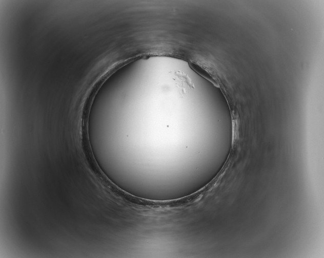X0000088870243200706080726