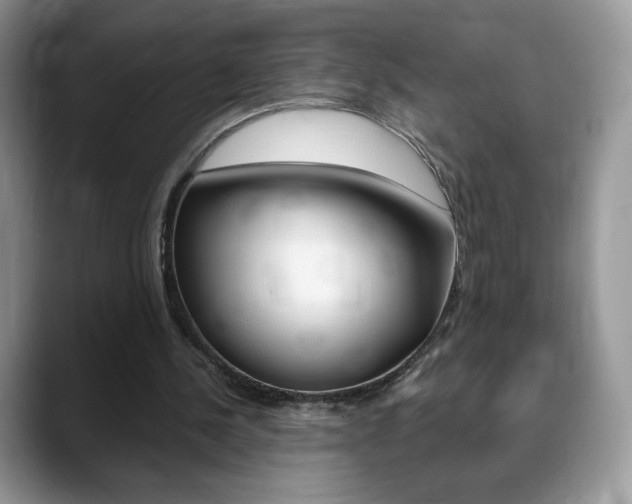 X0000088870244200706080726