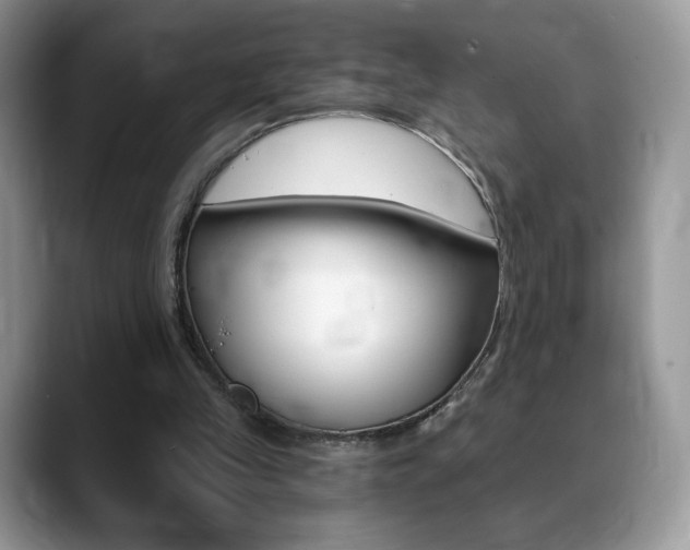 X0000088870245200706080726
