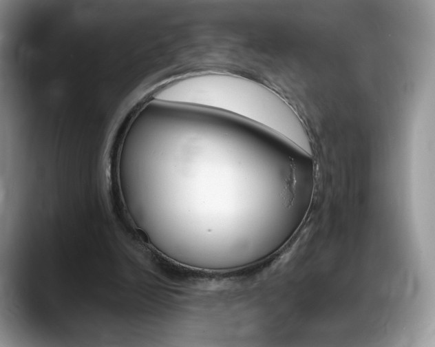 X0000088870246200706080726
