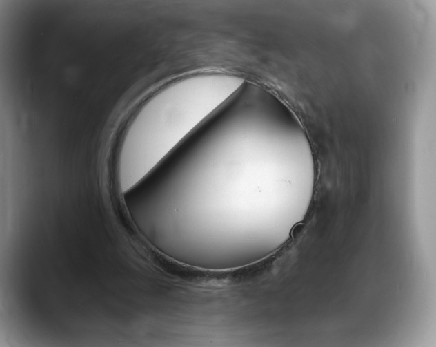 X0000088870247200706080726
