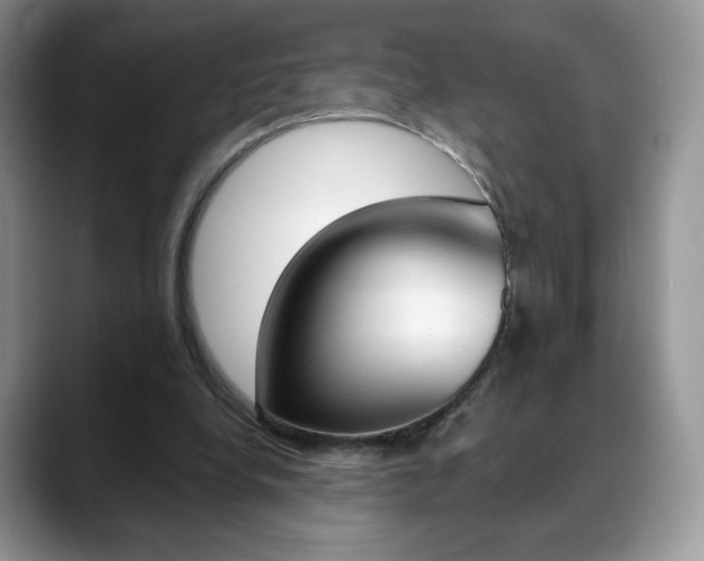 X0000088870248200706080726