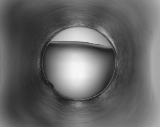 X0000088870249200706080726
