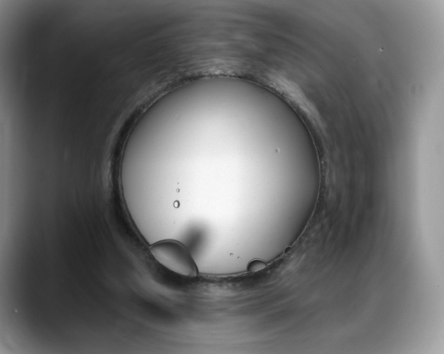 X0000088870250200706080726