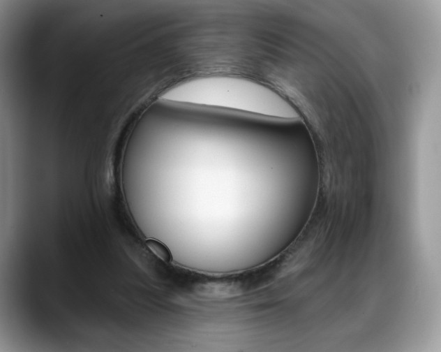 X0000088870251200706080727