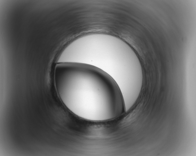 X0000088870252200706080727