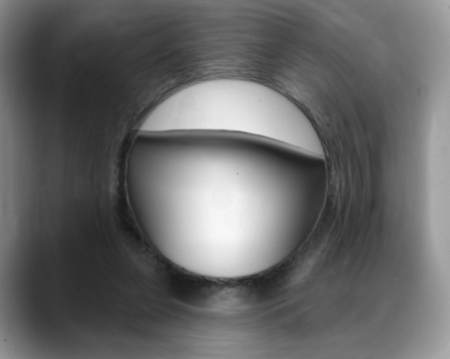 X0000088870255200706080727