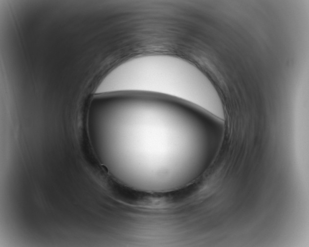 X0000088870260200706080727
