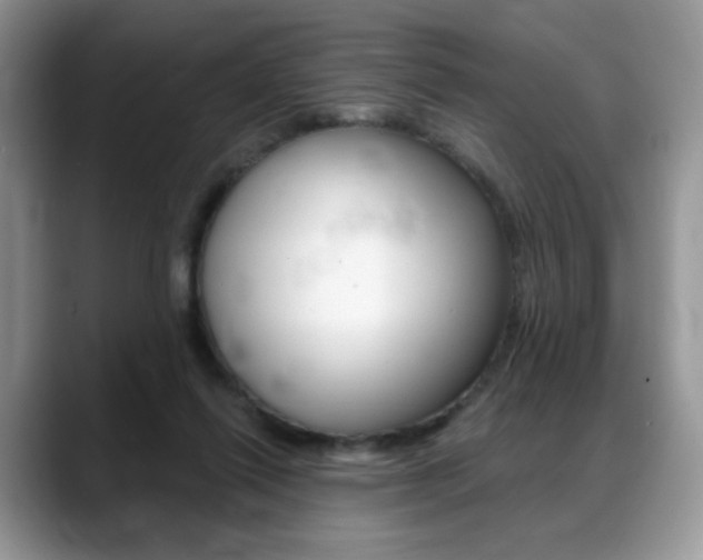 X0000088870262200706080727