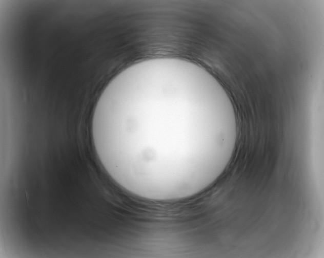 X0000088870264200706080727