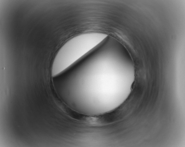 X0000088870265200706080727