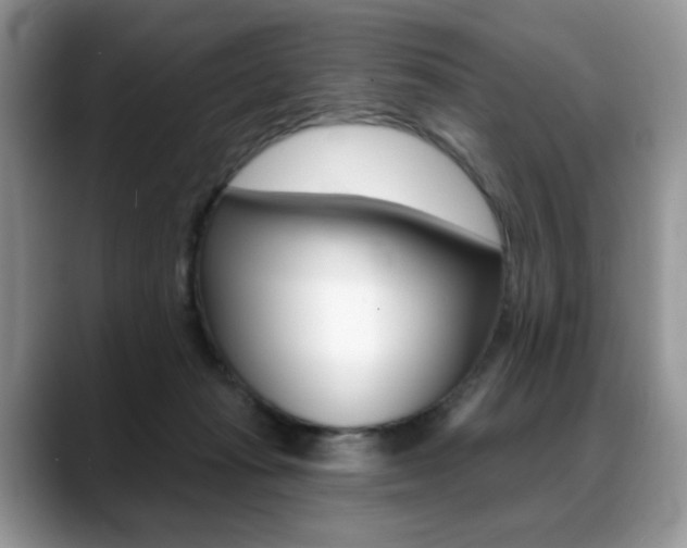 X0000088870269200706080727