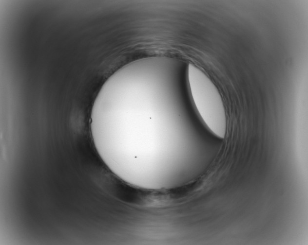 X0000088870270200706080727
