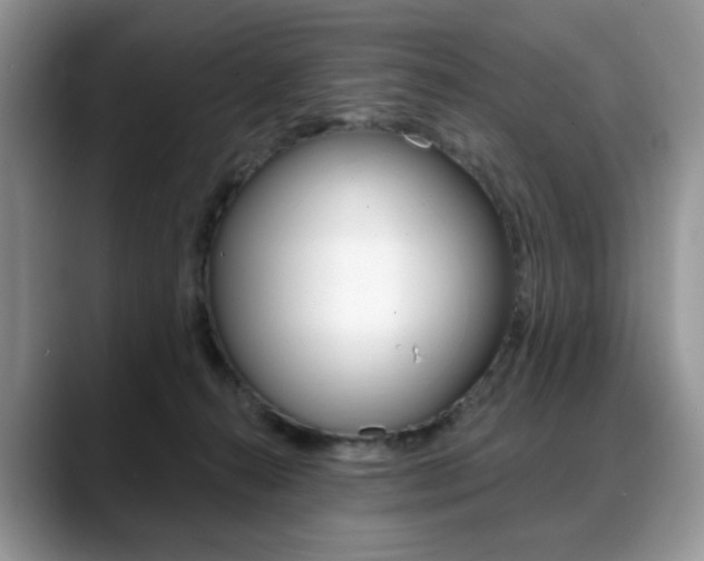 X0000088870272200706080727