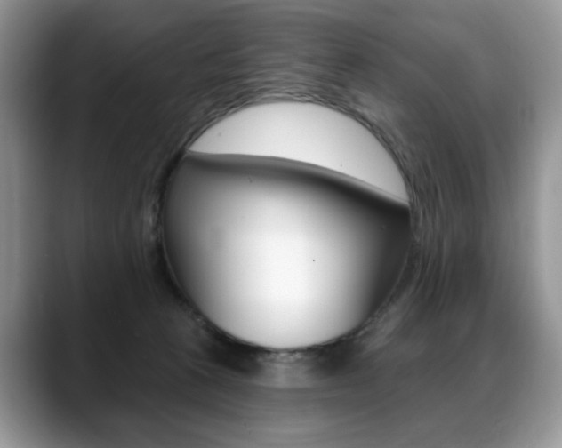 X0000088870273200706080727