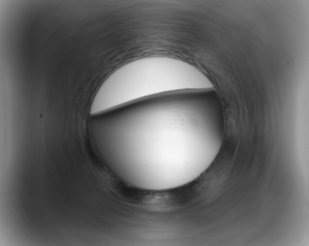 X0000088870274200706080727