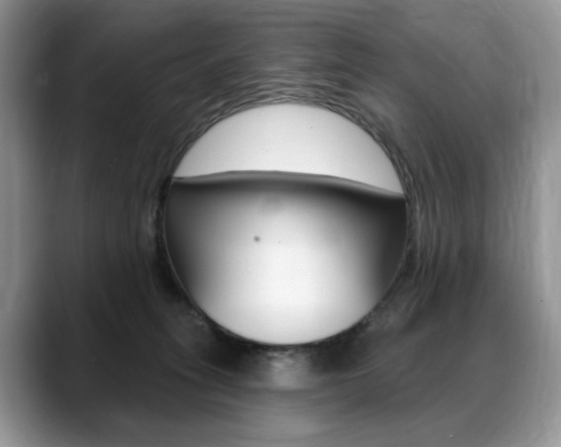 X0000088870275200706080727