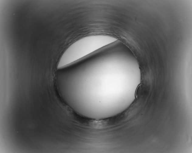 X0000088870277200706080727