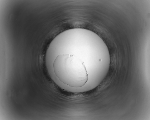 X0000088870278200706080727