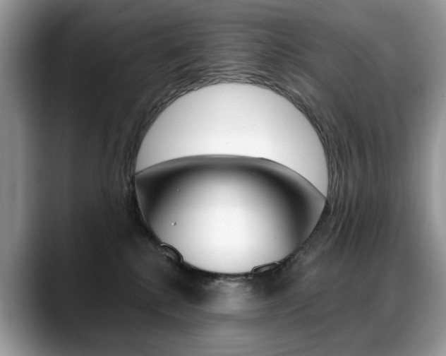 X0000088870280200706080727