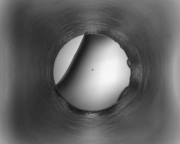 X0000088870283200706080727