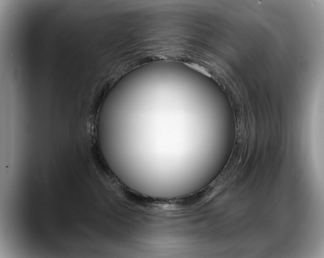 X0000088870284200706080727