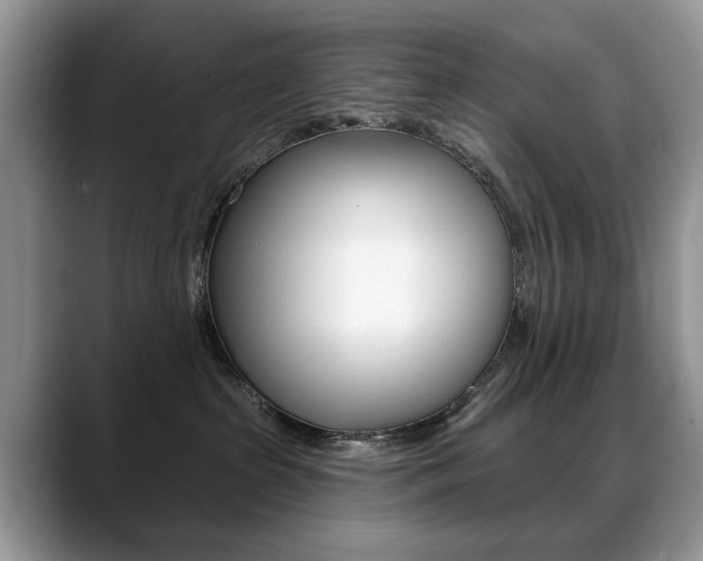 X0000088870285200706080727