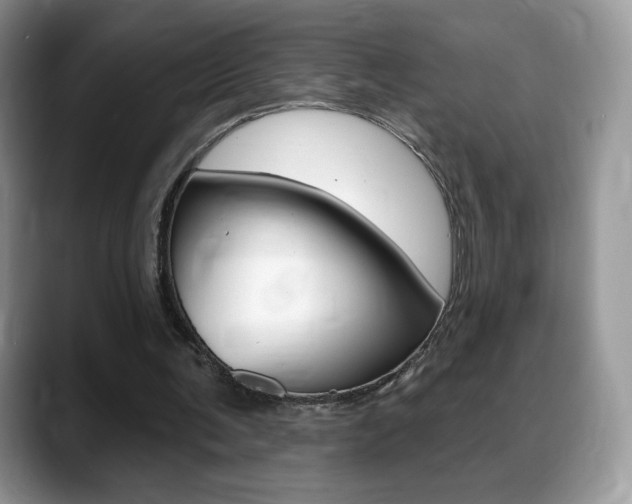 X0000088870291200706080726