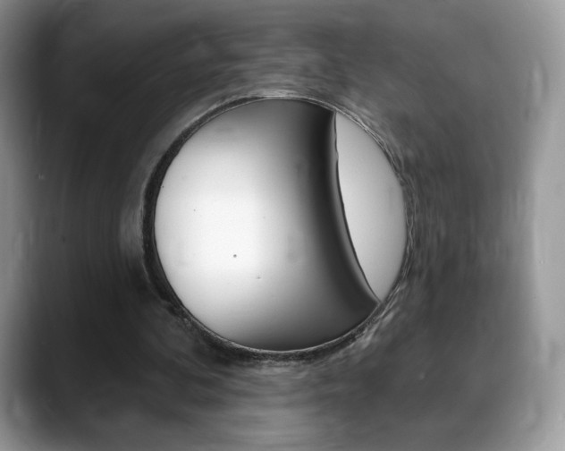 X0000088870292200706080726