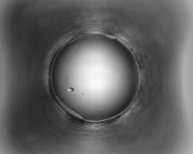 X0000088870293200706080726