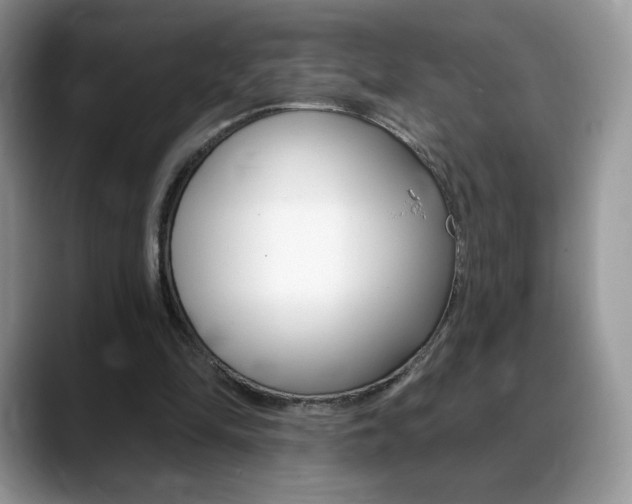 X0000088870294200706080726